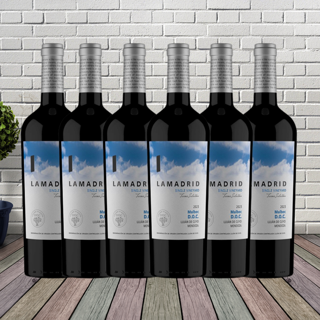 Lamadrid Malbec - caja 6 botellas