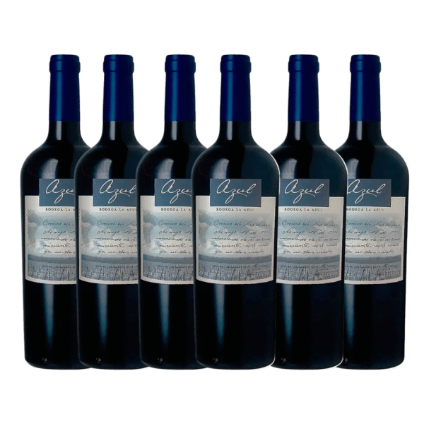 Azul Malbec - Caja 6 botellas - Image 3